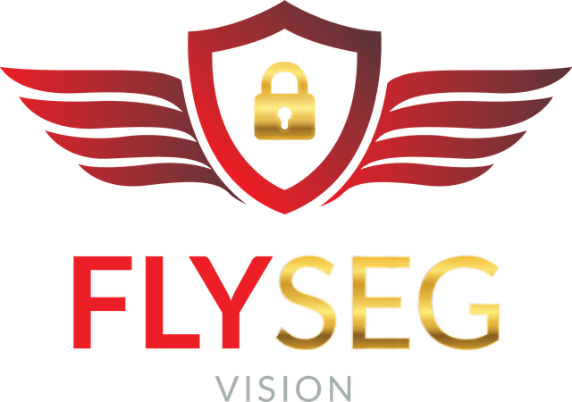 FlySeg Logo